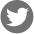 icon-twitter